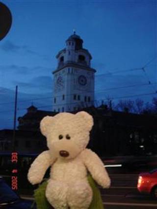Teddy's 1st picture in Munich